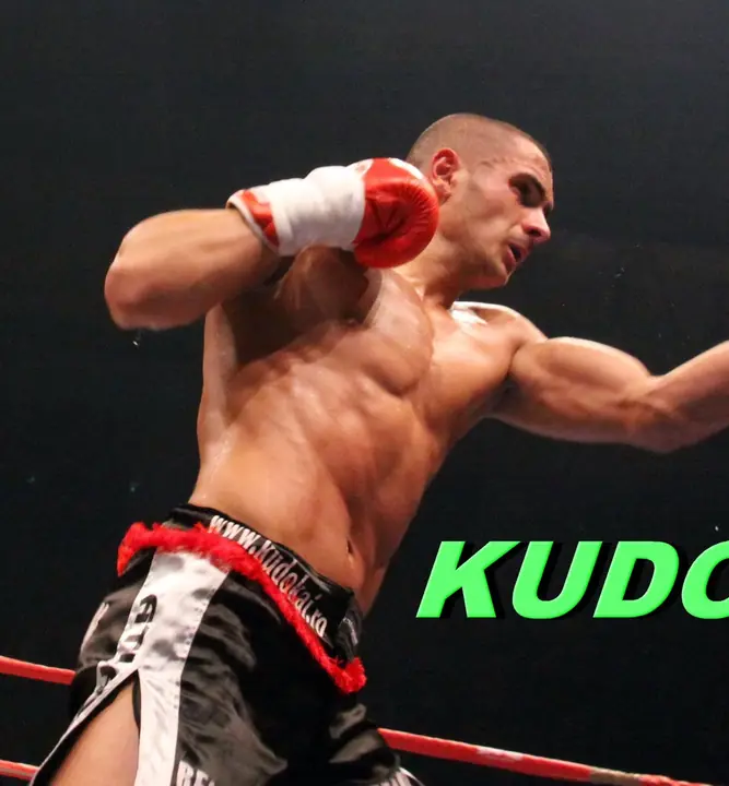 Schimb de pumni în ring