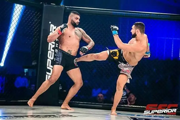 Doi luptători MMA în cușcă