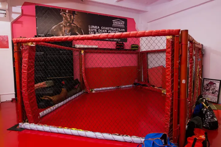 Cușca MMA din sala noastră