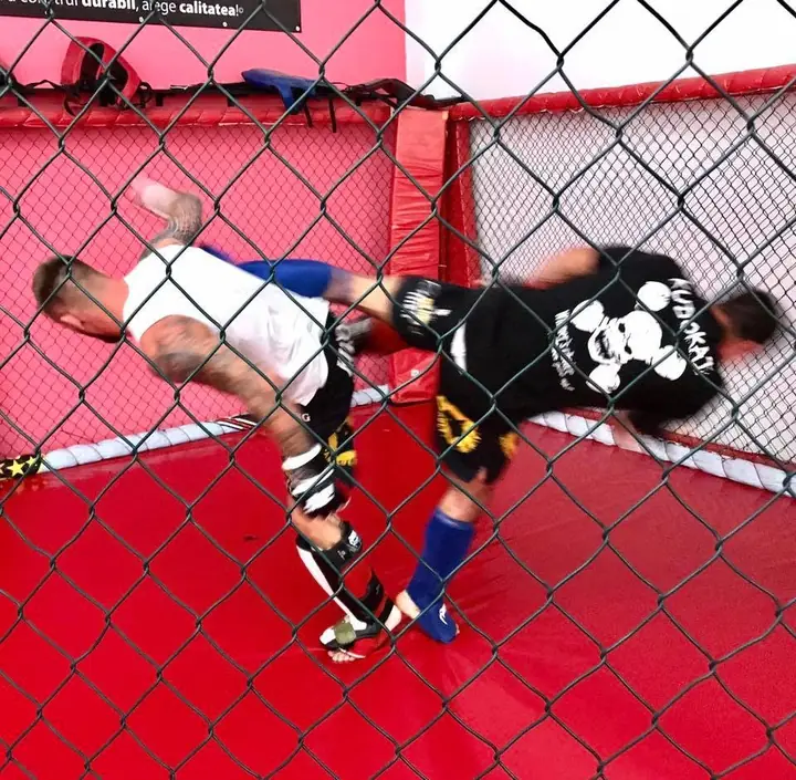 Sparring în cușcă